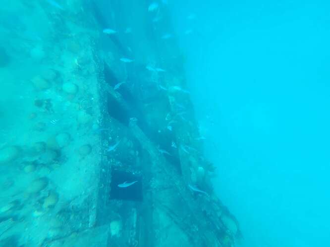 WeChat Image_20240721180849