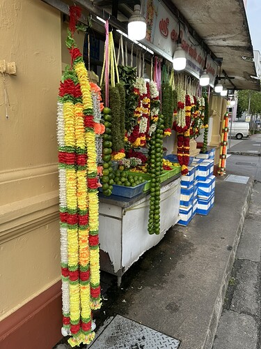 8875C927-FEA4-4D96-8EE6-4E38984FD96C_1_105_c