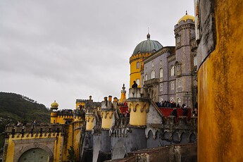 DSC02910