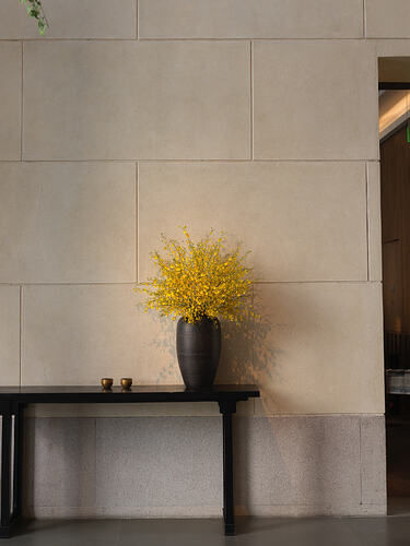 B00041913FR1767937898