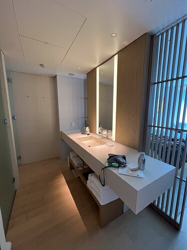 洗手盆，有隐私遮拦可以拉出来。