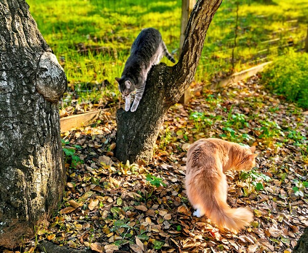 1d6c1f0120d3d19cae0e6b9079931bc6