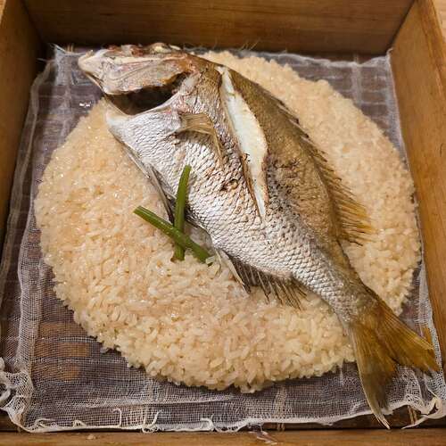 Image_20250425130639