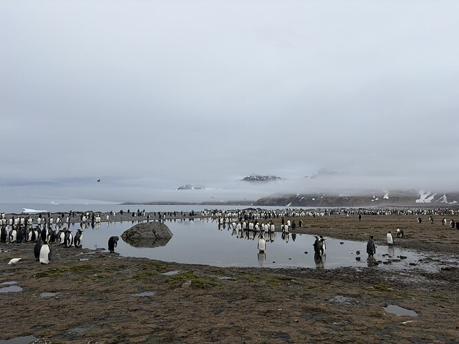 792E2C2C-9C2B-4491-9857-EB8A7D189FDA_1_105_c