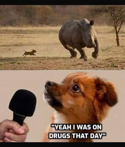 6d050af1ly1hpz23b7ms8j20wi126n0o