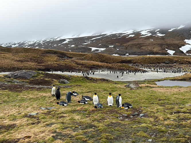 13369187-F7F0-49D3-9CBA-BF66EFFA3E30_1_102_o