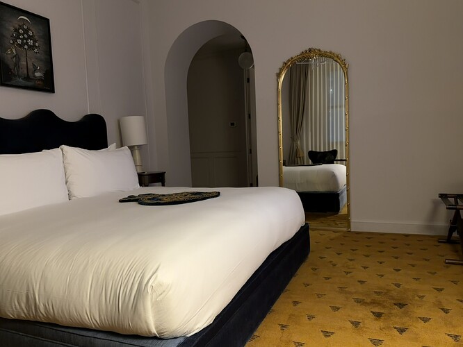 FFDEBA29-F574-4481-8D1A-257E0ED715C4_1_102_a