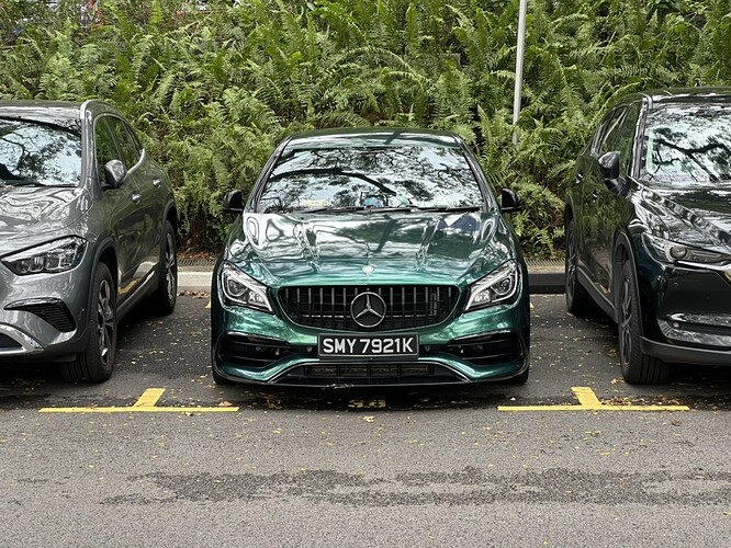 7F1254D2-0FBD-4C2E-9CA7-3B1B894DA2C4_1_105_c