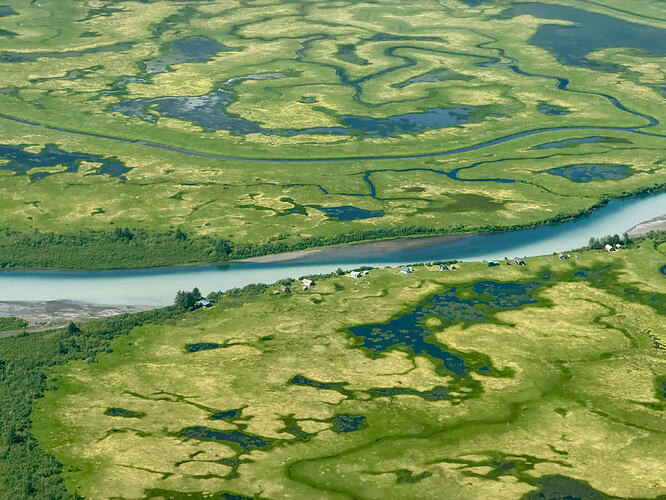 Government Slough 周边湿地与零散住宅