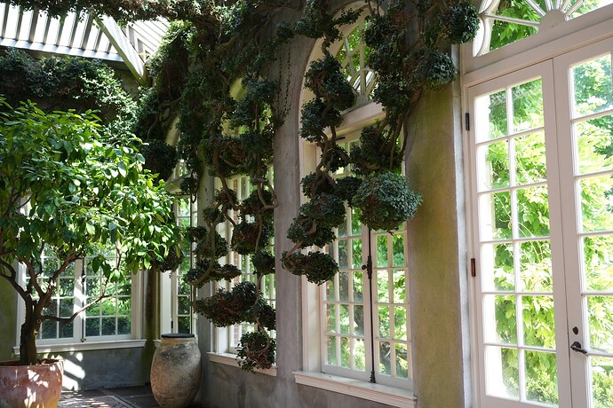 170d4581es1e3214e9672fc69dbd8c8f