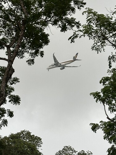 5B208CD0-0CAC-4911-A4CE-CD7388F99628_1_105_c