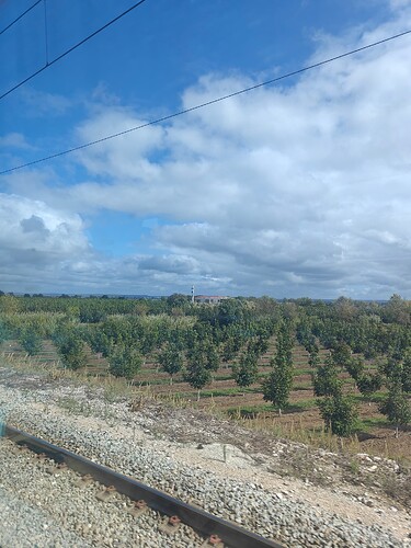 IMG20241009144317