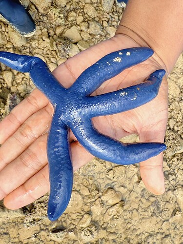 Photo Jul 23 2025, 15 28 41 (6) (1)