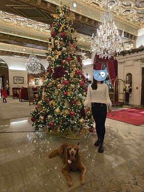 20241225_174913