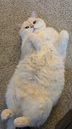 wx_camera_1739665296514