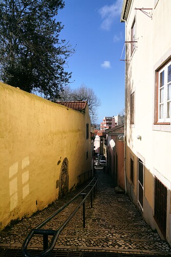 DSC03253