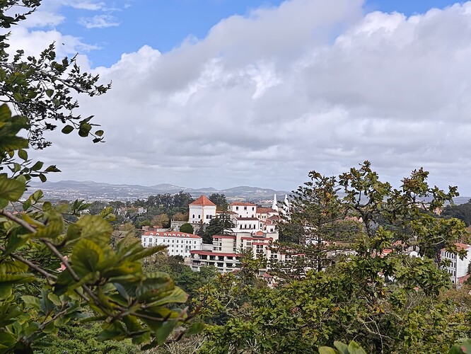 Regaleira View of Sintra Palace