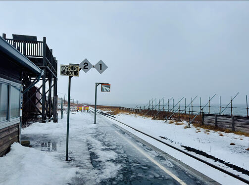 View recent photos 12