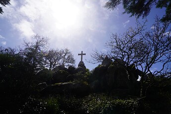 DSC03004