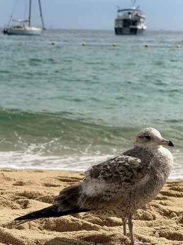 bae546ae1581026bccf4d4714d00325