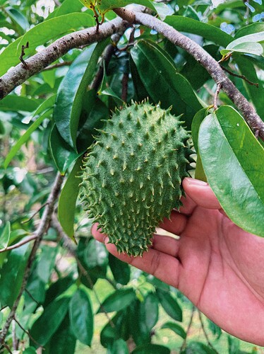 Photo Jul 27 2025, 05 24 55 (14) (1)