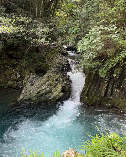 Screenshot 2026-08-02 at 10.15.18 PM