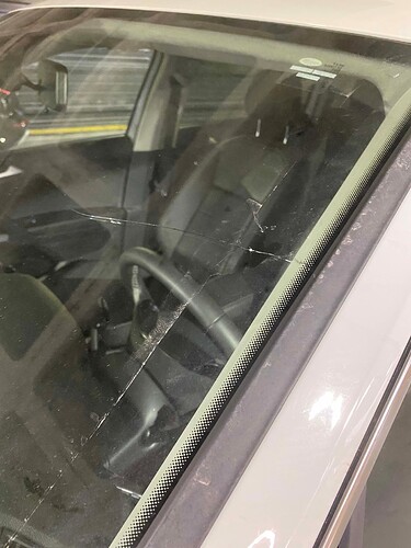 Tiguan windshield