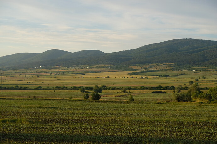 DSCF3971
