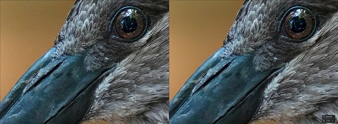 Screenshot 2024-12-05 234249