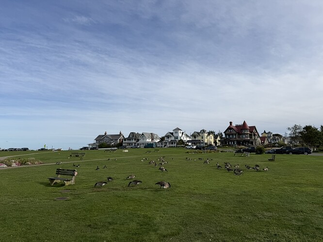 2E3EA3E0-23F2-45DA-8BB9-8042C917BEDF_1_105_c