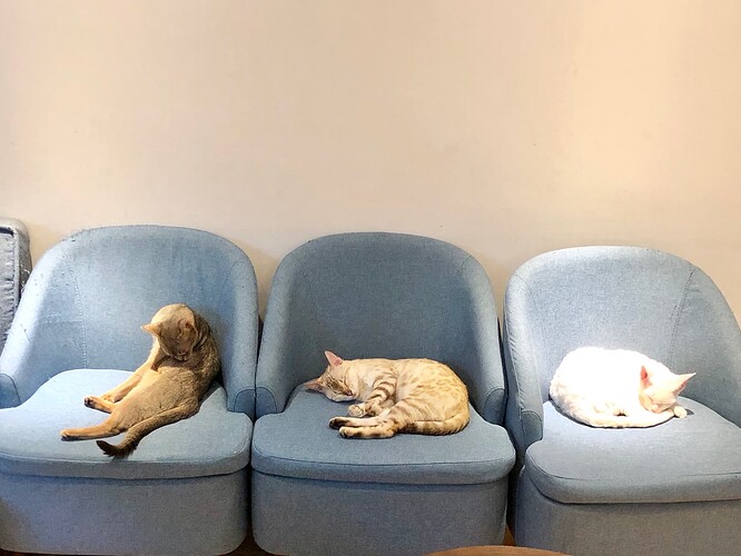 f1ac2e172sb9efc0d5f33a5c818085a8