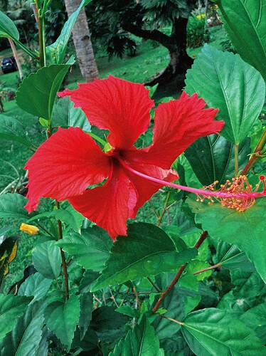 Photo Jul 27 2025, 05 24 55 (15)