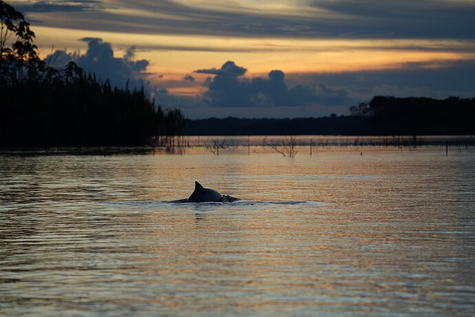 我很喜欢的一张照片