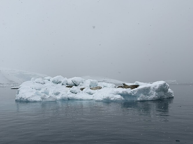 2F0565FB-CD33-43C3-B616-E6C1398E98C4_1_105_c