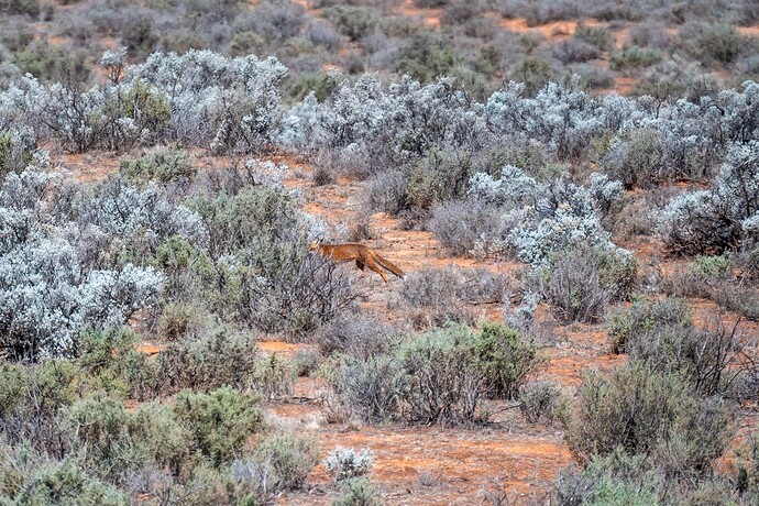 mmexport1746847068923