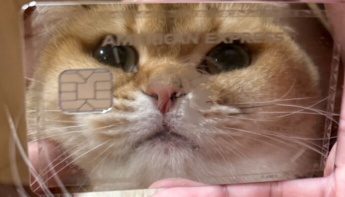 Screenshot 2025-10-03 at 10.11.49 PM