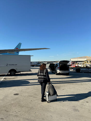 今天的大妈有点冷淡