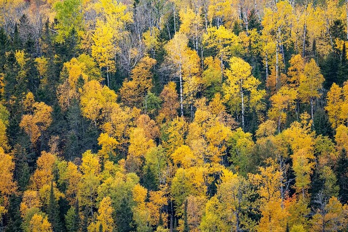 mmexport1726862756279