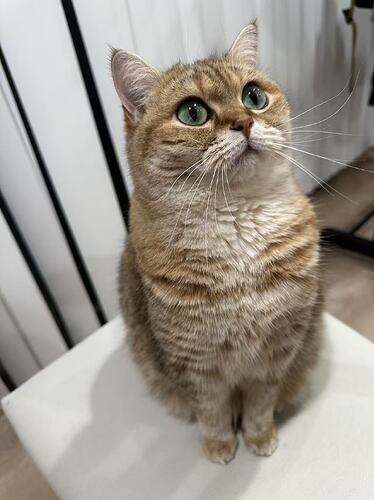 8056ec76b244511b8983de535fb88e47