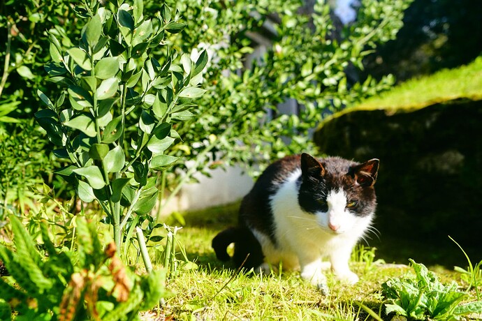 DSC03306