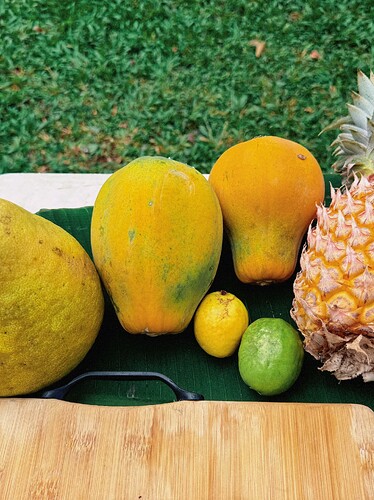 Photo Jul 27 2025, 05 24 55 (13)