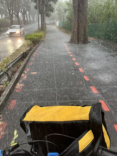 CEF2A349-C6C4-4829-86E2-56C7FF775092_1_105_c