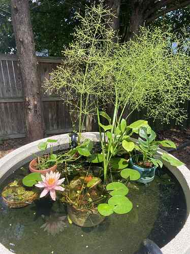 14a2ed6f-b435-44b7-83aa-33a2108f8847