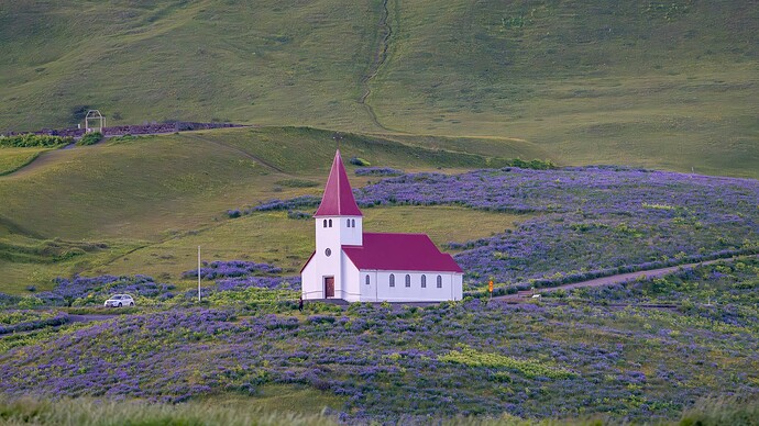 DSC_9520-Enhanced-NR