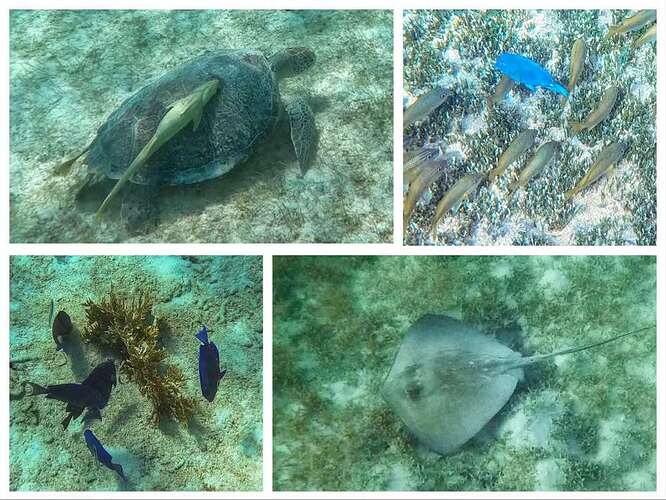 WeChat Image_20240721185756