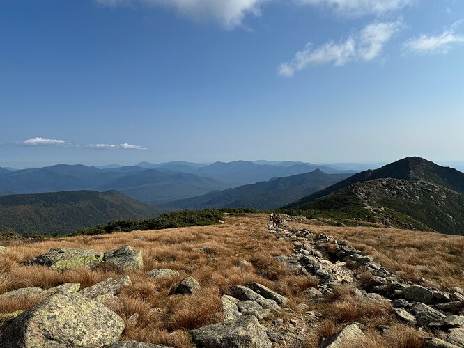 Mt. Lafayette 的Alpine Zone