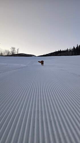20250209_065707