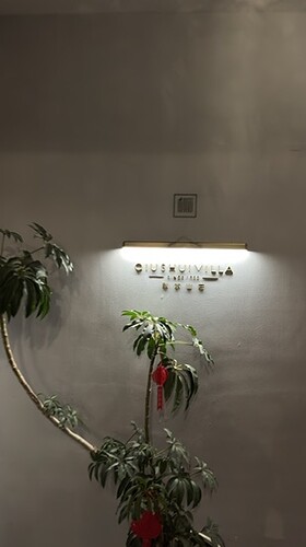 723A218D-E3FE-43D0-BD1D-22A6B40A6011_4_5005_c