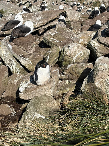 E428260C-F147-4666-94B0-14CD18C3CB3D_1_102_o