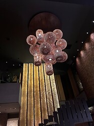 IMG_0903